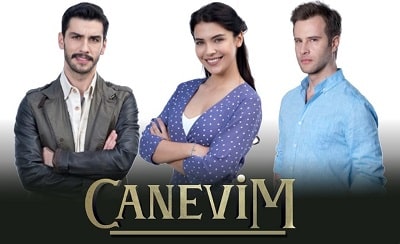Canevim