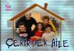 Çekirdek Aile