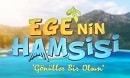 Ege'nin Hamsisi