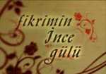 Fikrimin İnce Gülü