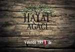 Hayat Ağacı