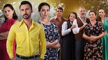 incir Ağacı