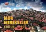 Mor Menekşeler
