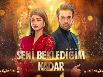 Seni Beklediğim Kadar