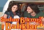 Sudan Bıkmış Balıklar